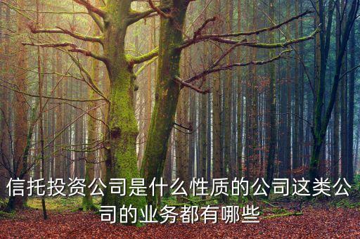 信托投資公司是什么性質(zhì)的公司這類公司的業(yè)務都有哪些