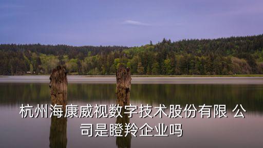  杭州?？低晹?shù)字技術(shù)股份有限 公司是瞪羚企業(yè)嗎