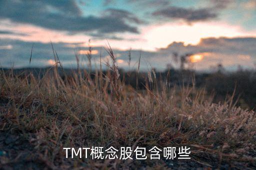 TMT概念股包含哪些