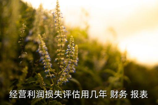 經(jīng)營利潤損失評估用幾年 財務(wù) 報表