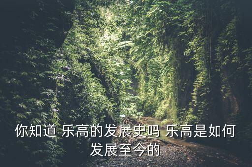 你知道 樂(lè)高的發(fā)展史嗎 樂(lè)高是如何發(fā)展至今的