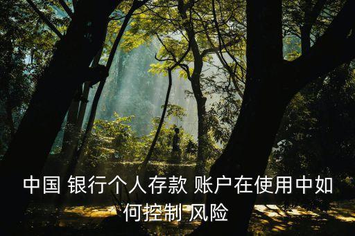 中國(guó) 銀行個(gè)人存款 賬戶在使用中如何控制 風(fēng)險(xiǎn)