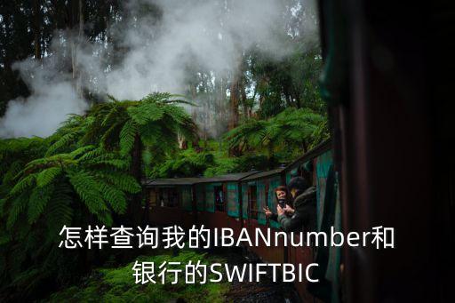 怎樣查詢我的IBANnumber和銀行的SWIFTBIC