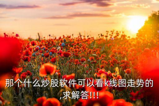 那個(gè)什么炒股軟件可以看k線圖走勢(shì)的,求解答!!!