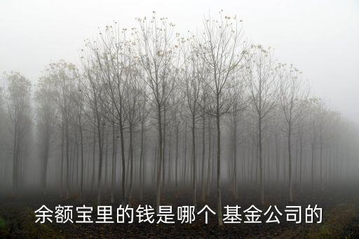 余額寶里的錢是哪個 基金公司的