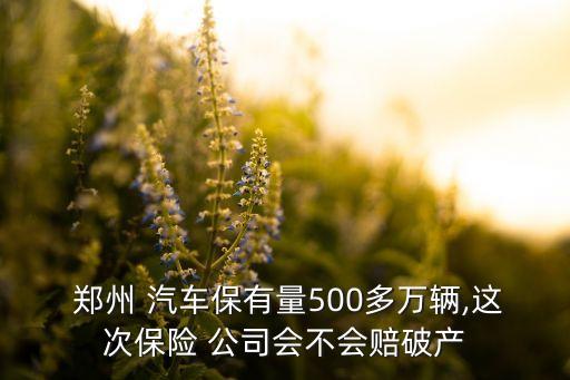 鄭州鑫茂汽車擔保公司怎么樣