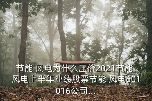 節(jié)能 風(fēng)電為什么壓價2021節(jié)能 風(fēng)電上半年業(yè)績股票節(jié)能 風(fēng)電601016公司...