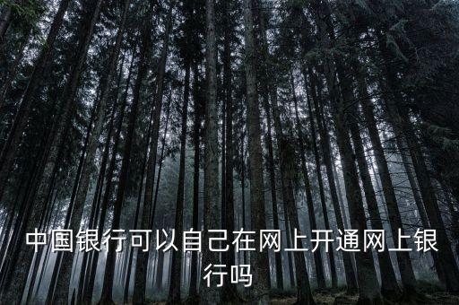  中國銀行可以自己在網(wǎng)上開通網(wǎng)上銀行嗎