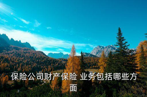  保險(xiǎn)公司財(cái)產(chǎn)保險(xiǎn) 業(yè)務(wù)包括哪些方面