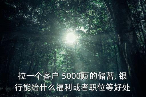 拉一個客戶 5000萬的儲蓄, 銀行能給什么福利或者職位等好處