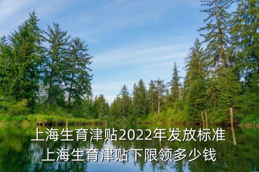  上海生育津貼2022年發(fā)放標(biāo)準(zhǔn) 上海生育津貼下限領(lǐng)多少錢