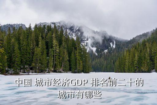 中國 城市經(jīng)濟(jì)GDP 排名前二十的 城市有哪些