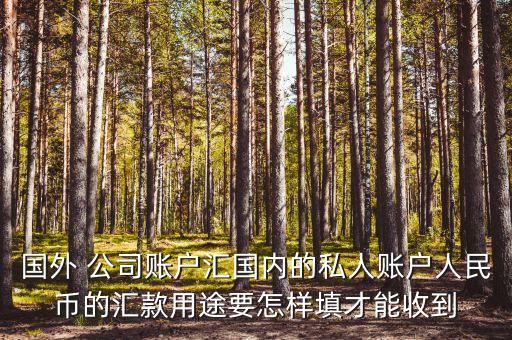 國外 公司賬戶匯國內(nèi)的私人賬戶人民幣的匯款用途要怎樣填才能收到