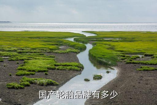 上海雙錢集團(tuán)有限公司,雙錢集團(tuán)(江蘇)輪胎有限公司招聘信息