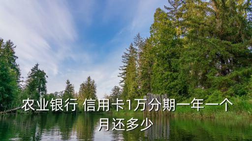  農(nóng)業(yè)銀行 信用卡1萬分期一年一個(gè)月還多少