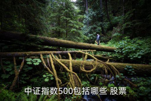 中證指數(shù)500包括哪些 股票