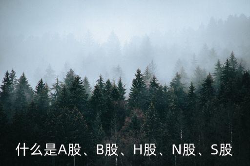 什么是A股、B股、H股、N股、S股