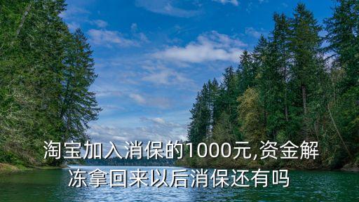  淘寶加入消保的1000元,資金解凍拿回來以后消保還有嗎