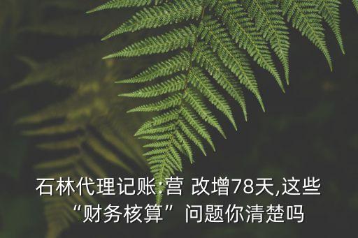 石林代理記賬:營(yíng) 改增78天,這些“財(cái)務(wù)核算”問題你清楚嗎