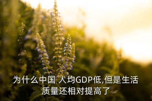 為什么中國 人均GDP低,但是生活質(zhì)量還相對(duì)提高了