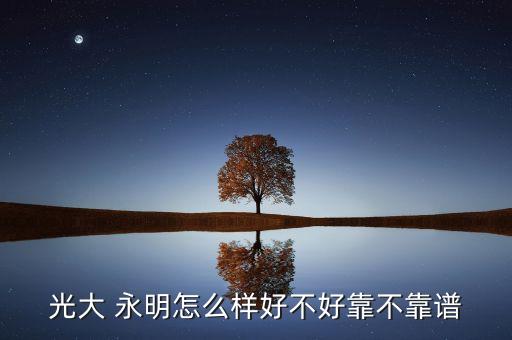 光大 永明怎么樣好不好靠不靠譜