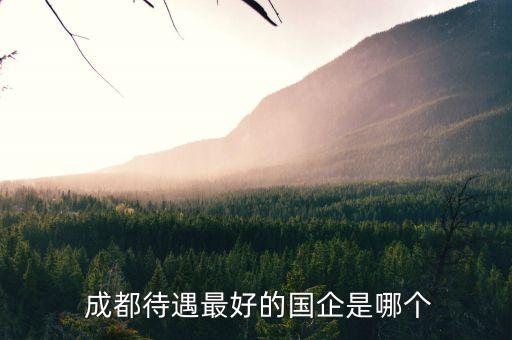 成都北辰市場(chǎng)開發(fā)有限公司,成都信北辰投資有限公司