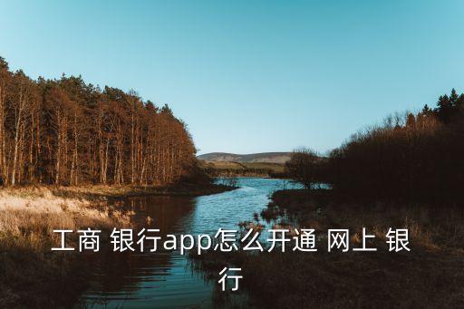 工商 銀行app怎么開通 網(wǎng)上 銀行