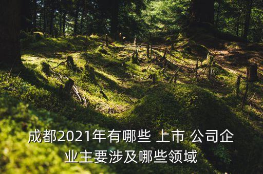 成都2021年有哪些 上市 公司企業(yè)主要涉及哪些領(lǐng)域