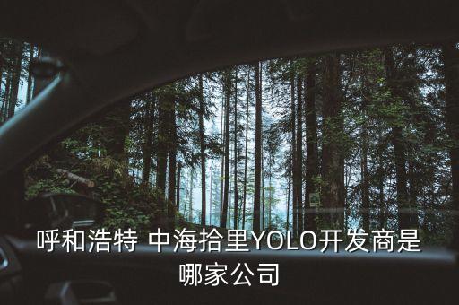 呼和浩特 中海拾里YOLO開發(fā)商是哪家公司