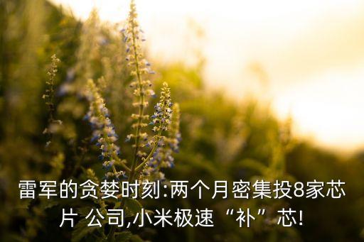 雷軍的貪婪時(shí)刻:兩個(gè)月密集投8家芯片 公司,小米極速“補(bǔ)”芯!