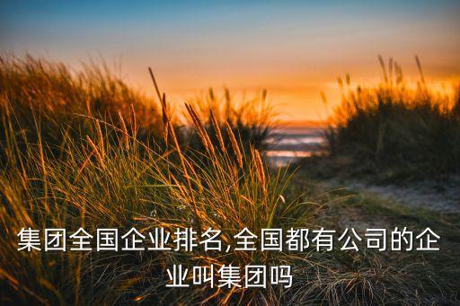 亞廈集團全國企業(yè)排名,全國都有公司的企業(yè)叫集團嗎