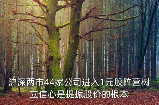 滬深兩市44家公司進(jìn)入1元股陣營樹立信心是提振股價(jià)的根本