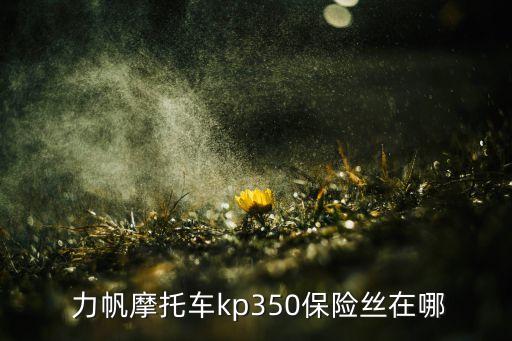  力帆摩托車kp350保險(xiǎn)絲在哪