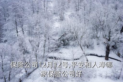 平安保險(xiǎn)公司12月12號(hào),平安和人壽哪家保險(xiǎn)公司好