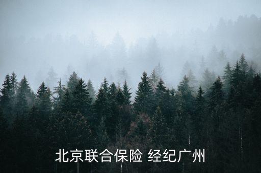 北京聯(lián)合保險(xiǎn) 經(jīng)紀(jì)廣州