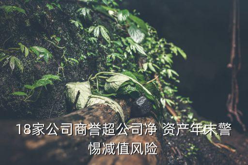 18家公司商譽(yù)超公司凈 資產(chǎn)年末警惕減值風(fēng)險