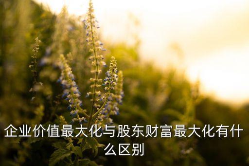 企業(yè)價值最大化與股東財富最大化有什么區(qū)別