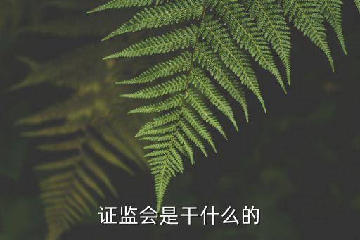 證監(jiān)會(huì)是干什么的