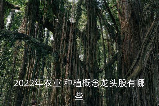 2022年農業(yè) 種植概念龍頭股有哪些