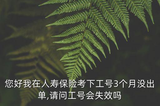 您好我在人壽保險(xiǎn)考下工號(hào)3個(gè)月沒(méi)出單,請(qǐng)問(wèn)工號(hào)會(huì)失效嗎