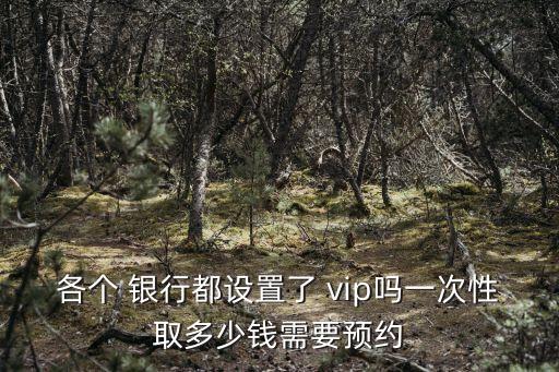 各個 銀行都設置了 vip嗎一次性取多少錢需要預約