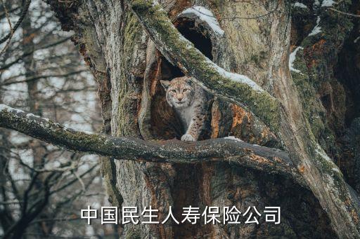 中國民生人壽保險(xiǎn)公司