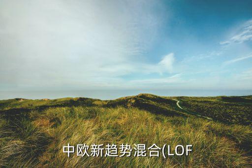  中歐新趨勢(shì)混合(LOF