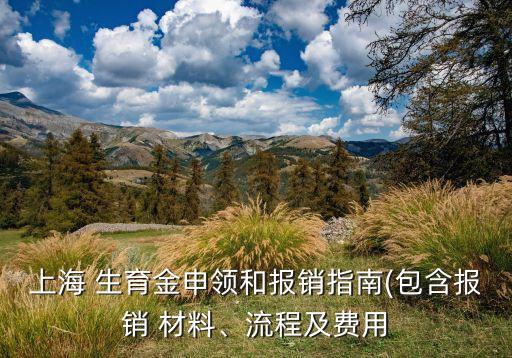 上海市生育津貼領(lǐng)取材料,2020上海市生育津貼領(lǐng)取流程和材料