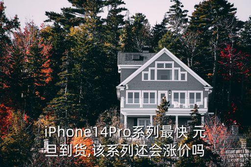 iPhone14Pro系列最快 元旦到貨,該系列還會漲價嗎