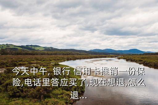 今天中午, 銀行 信用卡推銷一份保險,電話里答應(yīng)買了,現(xiàn)在想退,怎么退...