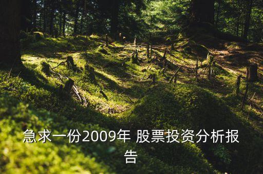 急求一份2009年 股票投資分析報(bào)告