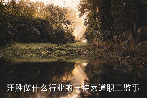 崇陽(yáng)三特雋水河旅游開發(fā)有限公司簡(jiǎn)介