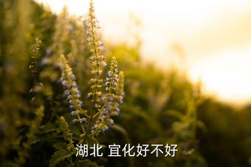  湖北 宜化好不好