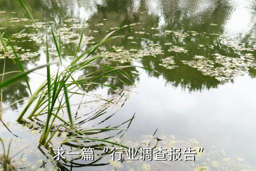 湛江中富容器有限公司,青島中富聯(lián)體容器有限公司